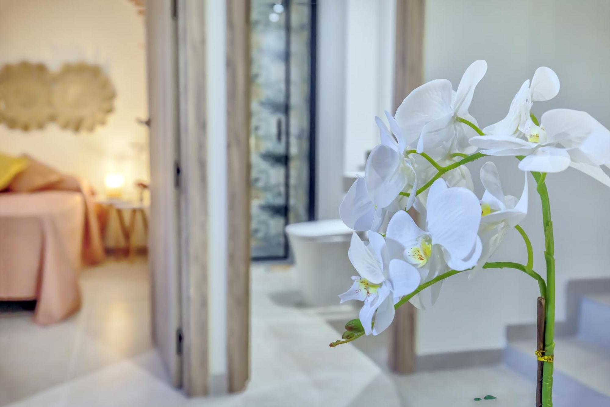 Aromas De San Pedro Apartment กอร์โดบา ภายนอก รูปภาพ